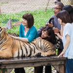 Safari World là một trong những địa điểm hàng đầu của du lịch Bangkok