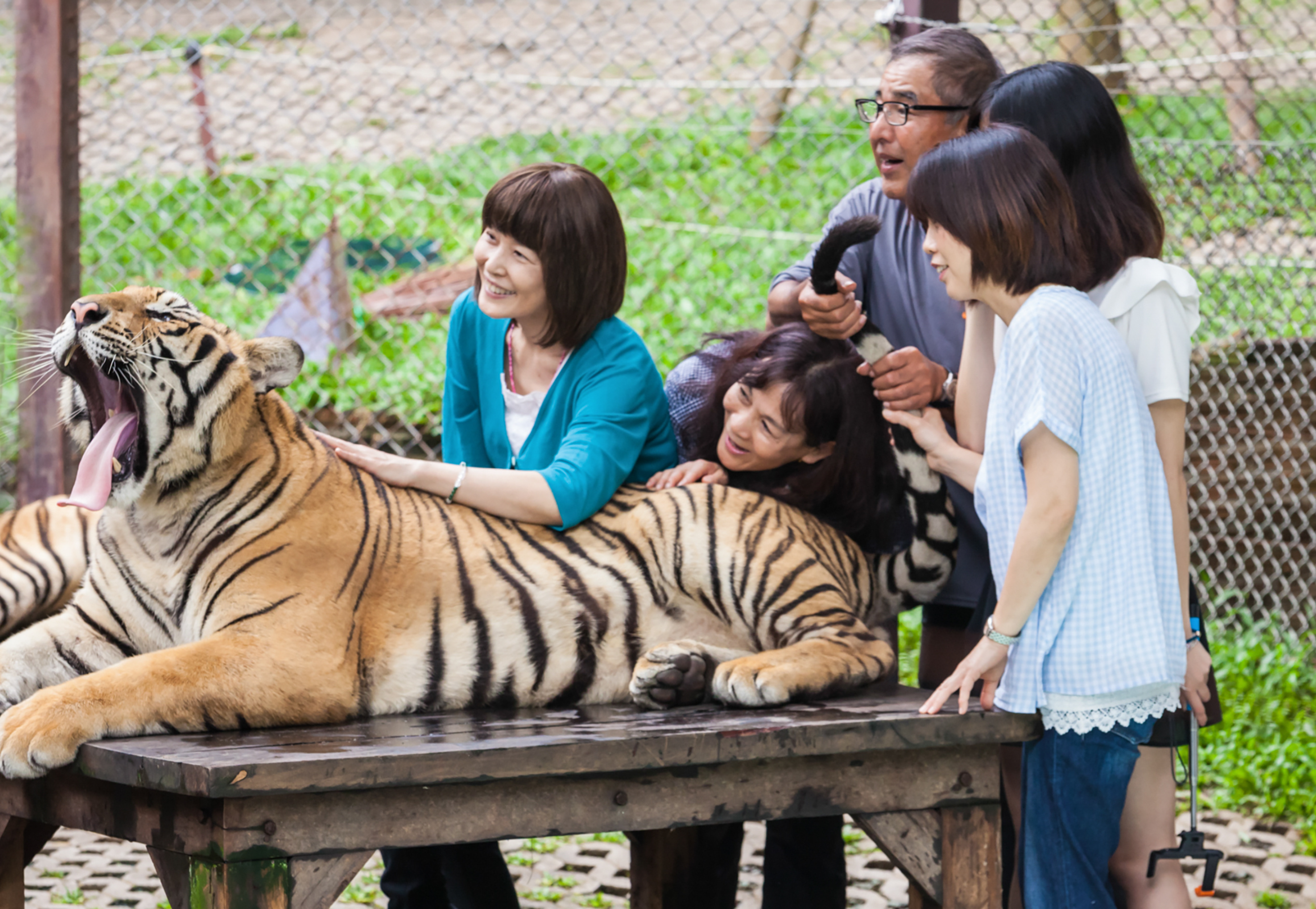 Safari World là một trong những địa điểm hàng đầu của du lịch Bangkok