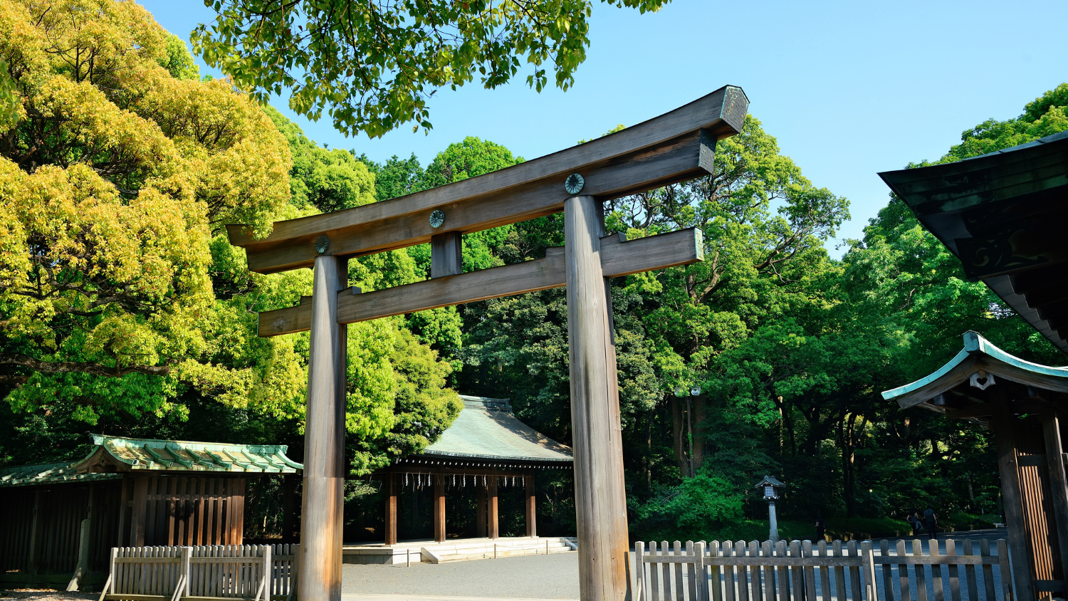 Tín ngưỡng Nhật Bản, hành lễ tại đền thờ, truyền thống tâm linh, bí mật của Meiji Jingu