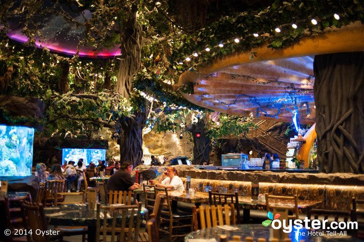 paradise 8 casino no deposit bonus